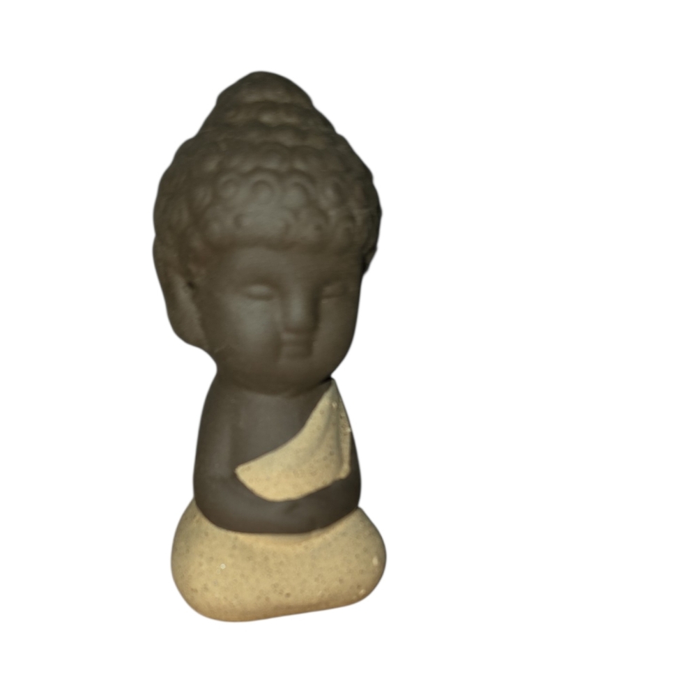 Meditating Buddha